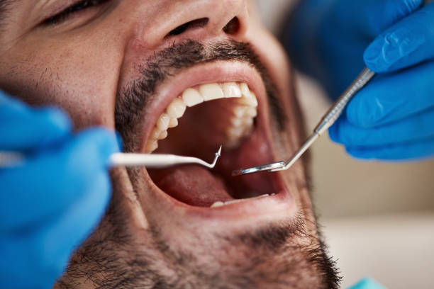 Best Emergency Orthodontic Services in Bear Creek, AK